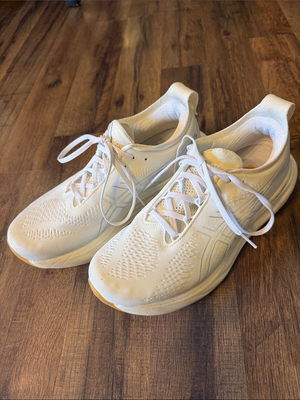 ASICS Gel Nimbus 25